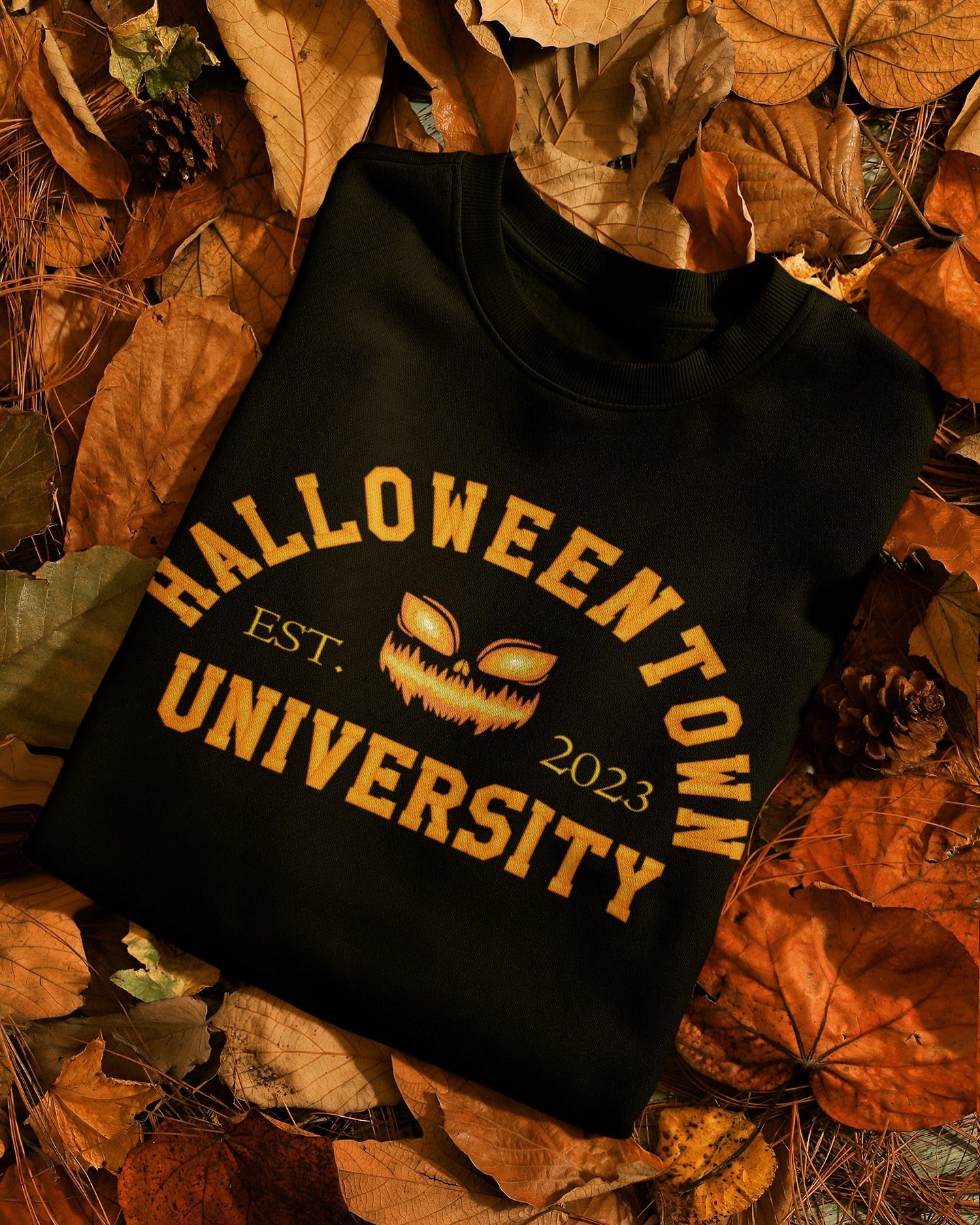 Halloweentown University Embroidered Sweatshirt - Rae'Mar